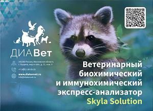 Skyla Solution всего за 450 000 рублей.